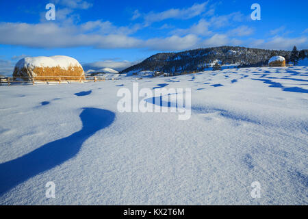 Heuballen und Schneeverwehungen unterhalb der kontinentalen Wasserscheide in der Nähe von Avon, Montana Stockfoto