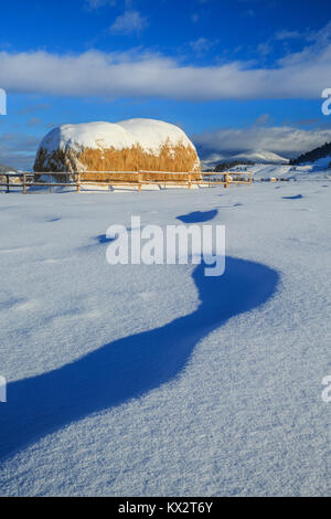 Heuballen und Schneeverwehungen unterhalb der kontinentalen Wasserscheide in der Nähe von Avon, Montana Stockfoto