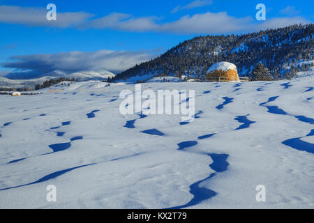 Heuballen und Schneeverwehungen unterhalb der kontinentalen Wasserscheide in der Nähe von Avon, Montana Stockfoto