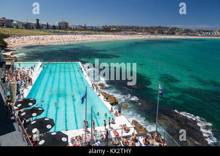 Einheimische und Touristen entspannen im Bondi Icebergs, Bondi Beach, Sydney, Australien. Stockfoto