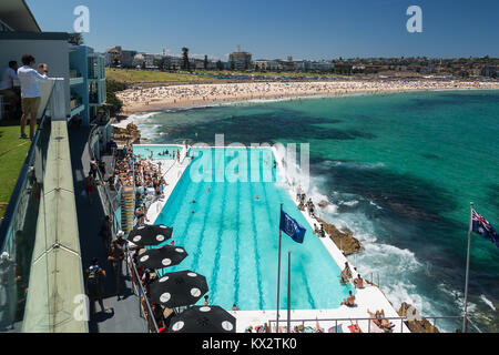 Einheimische und Touristen entspannen im Bondi Icebergs, Bondi Beach, Sydney, Australien. Stockfoto