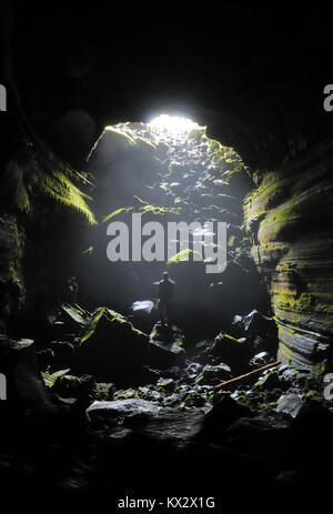 Falls Creek Höhle Stockfoto