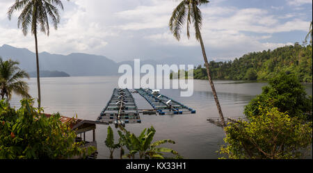 Floating Fischernetz Käfige in der noch Wasser von Crater Lake Maninjau, Sumatra, Indonesien. Stockfoto