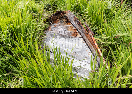 Das Wrack eines alten hölzernen Angeln Boot ist in der Vegetation irgendwo an der Küste in der Nähe des Hafens von Roundstone begraben in Connemara, Irland Stockfoto