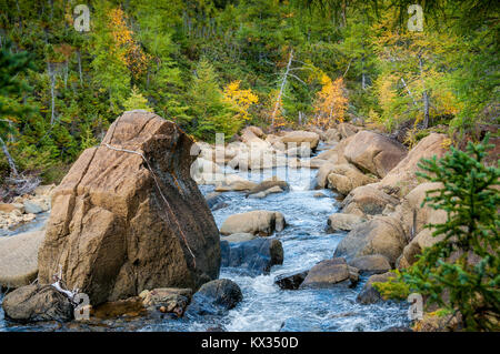 Bergbach im Herbst Farben: Diable Fluss unter den Kiefern und Birken an den Hängen des Mount Albert in der gaspé Halbinsel von Quebec Stockfoto