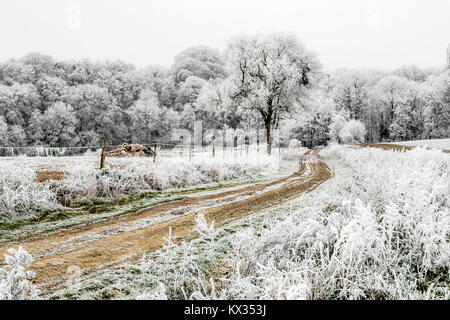 Gefrorene Landschaft. Ein Feldweg in den Wald. An diesem kalten Wintermorgen, die Büsche, Bäume und Zäune sind mit Frost bedeckt. Stockfoto