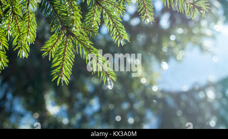 Zwei Personen Kajak fahren im Winter unter den Bergen Stockfoto