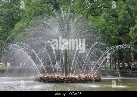 SUN BRUNNEN, Peterhof, St. Petersburg Stockfoto