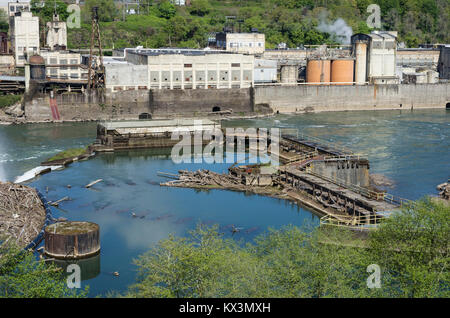 Gelände der ehemaligen Blue Heron Papierfabrik an der Willamette fällt. Oregon City, Oregon Stockfoto