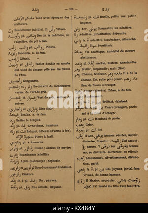 Seite 101 von Alfred Nicolas' Arabisch-französischem Wörterbuch von 1938, in dem arabische Wörter mit ihren französischen Entsprechungen und grammatischen Informationen aufgeführt sind. Stockfoto