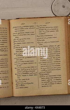 Alfred Nicolas’ französisch-arabisches Wörterbuch von 1938 bietet umfassende Einblicke in die sprachlichen und kulturellen Verbindungen zwischen der arabischen und der französischen Sprache und erleichtert so die Übersetzung und das Verständnis zwischen beiden Kulturen. Stockfoto