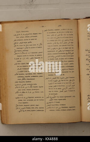 Die Arabisch-Französische Wörterbuchseite von Alfred Nicolas aus dem Jahr 1938 bietet Übersetzungen und Definitionen von Begriffen, die das Sprachenlernen und das Sprachenlernen unterstützen. Stockfoto