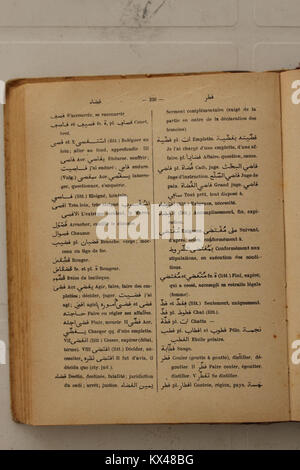 Seite aus Alfred Nicolas' Arabisch-Französisch-Wörterbuch von 1938, das umfassende Übersetzungen bietet und als Ressource für Sprachlernende und -Gelehrte dient Stockfoto