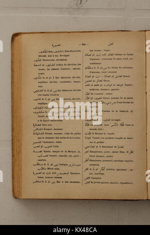 Die Seite bietet arabisch-französische Übersetzungen und Begriffserklärungen und hebt die Sprachwissenschaft und den pädagogischen Nutzen aus Alfred Nicolas’ Wörterbuch von 1938 hervor. Stockfoto
