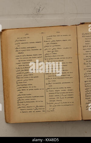 Seite 272 aus Alfred Nicolas’ Arabisch-Französisch-Wörterbuch von 1938, das Übersetzungen und Definitionen für arabische Wörter im französischen Kontext enthält. Stockfoto