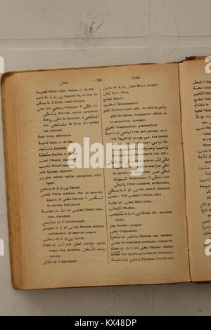 Seite 286 von Alfred Nicolas' Arabisch-Französisch Wörterbuch enthält arabische Begriffe mit ihren französischen Entsprechungen, die Aussprache, Bedeutung und Verwendung im Kontext zeigen. Stockfoto