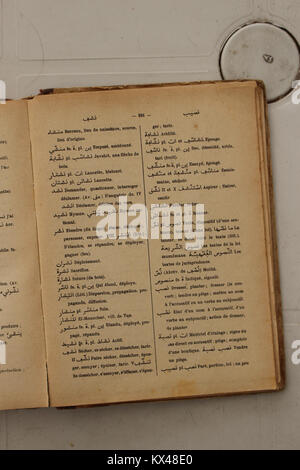 Auf dieser Seite aus Alfred Nicolas’ Arabisch-Französisch-Wörterbuch von 1938 werden Übersetzungen und Definitionen von Begriffen vorgestellt, die die arabisch-französische Sprachwissenschaft unterstützen. Stockfoto