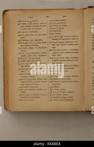 Seite 294 von Alfred Nicolas' Arabisch-Französisch-Wörterbuch von 1938, in dem arabische Begriffe mit entsprechenden französischen Übersetzungen und grammatischen Informationen angezeigt werden. Stockfoto