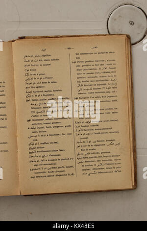 Seite aus Alfred Nicolas’ Arabisch-französischem Wörterbuch von 1938, das den sprachlichen und kulturellen Austausch zwischen Arabisch und französischsprachigen Gemeinschaften veranschaulicht Stockfoto