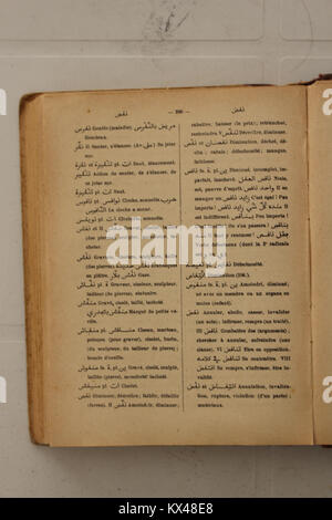 1938 Wörterbuchseite von Alfred Nicolas, die arabische Wörter mit französischer Übersetzung präsentiert, sprachliche Beiträge illustriert und Vokabular und Gebrauch studiert. Stockfoto