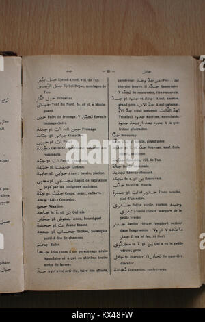 Diese Seite aus Alfred Nicolas' Arabisch-Französisch-Wörterbuch von 1938 zeigt Übersetzungseinträge, Definitionen und Beispiele für das Sprachenlernen und -Forschung. Stockfoto