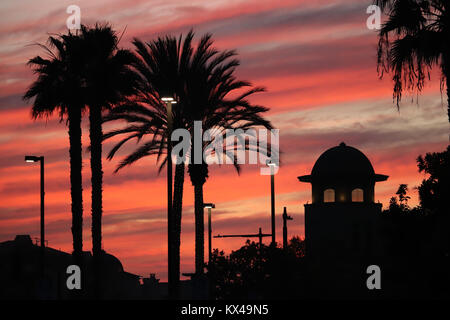 Vier riesige Palmen Silhouette gegen einen dramatischen Rosa und Orange cloud Himmel am Ende der Winter Tag in Kalifornien, ein Kuppelbau, Leuchten in der Nähe von Stockfoto