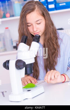 Schülerin in eine Klasse der Biologie studiert eine grüne Pflanze Stockfoto