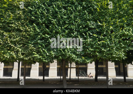 Frankreich, Paris (75), junge Frau Lesung im Garten des Palais Royal. Stockfoto