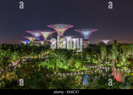 Die Gärten an der Bucht ist abends beleuchtet. Im Hintergrund die OCBC Skyway und Supertree Grove. Im Vordergrund der Dragonfly See. Singapur, März 2017 Stockfoto