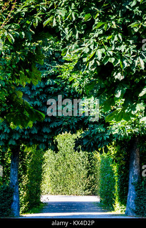 Malerische Wald Weg unter den grünen Bäumen. Malerische Park weg von Bäumen, sonnigen Tag umgeben. Stockfoto