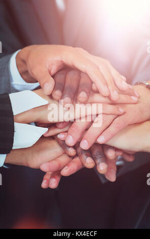 Menschen setzen ihre Hände zusammen, Hände im Fokus Stockfoto