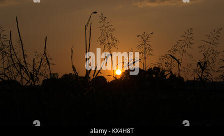 Sonnenuntergang unter den Schatten in Austin, Texas Stockfoto