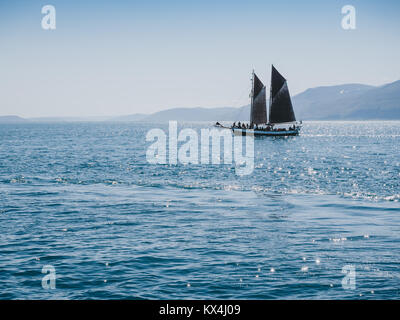 Leute segeln auf Yachtcharter in Ozean, Island Stockfoto