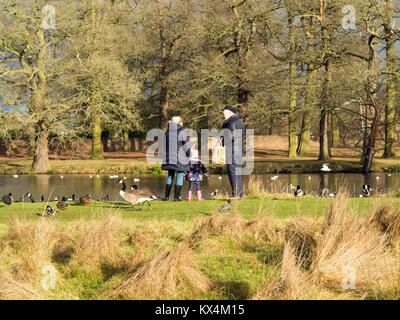 Mann und Frau mit Kind Füttern der Enten in einem Teich im Park an der National Trust Eigentum von Dunham Hall an Dunham Massey Cheshire Stockfoto