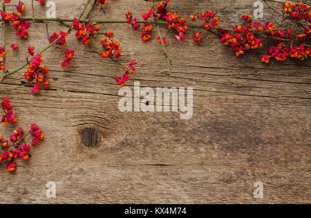Zweig mit roten Blumen auf einem hölzernen Hintergrund Stockfoto