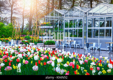 Magischer frühling landschaft, fabelhafte Keukenhof Garten, bunten Frühling Blumen, frische Tulpen in die beste touristische Park. Gewächshaus und Garten Möbel Stockfoto