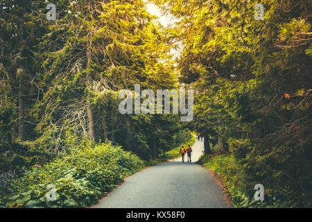 Wandern Menschen gehen Hand in Hand im schönen Herbst Wald. Asphalt Park Road zwischen herrlichen Pinien im Sonnenuntergang weiches Licht. Outdoor Aktiv lei Stockfoto