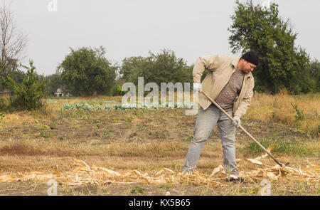 DIKANKA, UKRAINE - 30. SEPTEMBER 2015: Land Bauer arbeiten im Feld harken Ernterückstände mit Hilfe eines rechen Stockfoto