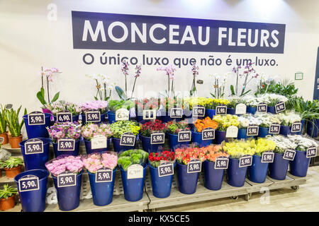 Lissabon Portugal, Sao Sebastiao, El Corte Ingles, Megastore, Kaufhaus, Monceau Fleurs, Blumenmarkt, Blumenhändler, Pflanzen, Blumen, Stand, Verkauf Hispan anzeigen Stockfoto