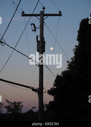 Utility Pole am Abend Stockfoto