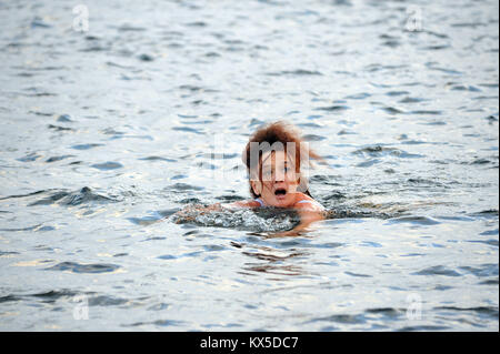 London, UK, 07.01.2017 Schwimmer aus der Serpentine Schwimmer Club den Sprung in etwas über dem Gefrierpunkt Bedingungen am Sonntag Morgen wie Temperatur nehmen Stockfoto