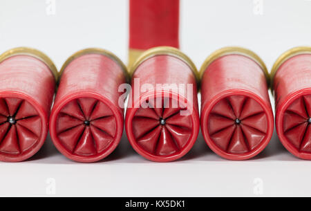 Schuss BB in der Mitte eines am 12 gauge Shotgun shells Crimp gesehen Stockfoto