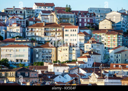 Coimbra Portugal, historisches Zentrum, Alta, Uptown, Skyline der Stadt, Gebäude, Hügel, Dächer, Hispanic, Einwanderer, Portugiesisch, PT170703087 Stockfoto