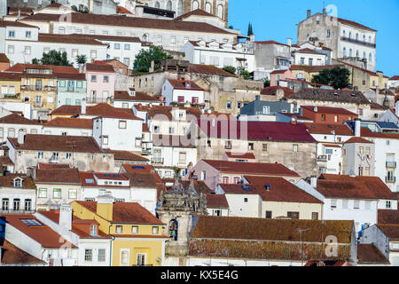 Coimbra Portugal, historisches Zentrum, Alta, Uptown, Universität von Coimbra, Skyline der Stadt, Stadtbild, Gebäude, Hügel, Dächer, lateinamerikanisch-lateinamerikanische ethnische min Stockfoto