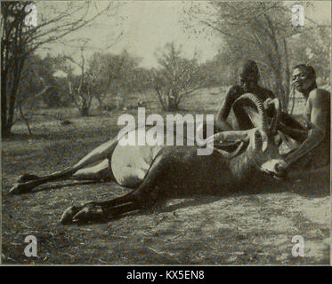 'Vom Kongo zum Niger und Nil: ein Konto der Deutschen Central African Expedition von 1910-1911" (1913) Stockfoto