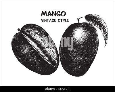 Handskizze Satz mango Obst gezeichnet. Ganze Früchte mit Blatt. Vector Illustration auf weißem Hintergrund. Stock Vektor