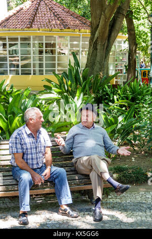 Lissabon Portugal, Lapa, Estrela, Jardim da Estrela, Park, botanischer Garten, Bank, Hispanic, Einwanderer, Männer männlich, Senioren, reden, Freunde, Hispanic Stockfoto