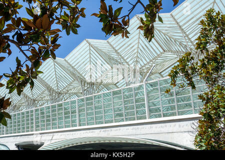 Lissabon Portugal, Oriente, Gare do Oriente, intermodaler Knotenpunkt, Transport, Bahnhof, Santiago Calatrava, Bahnsteig-Metallgitter, moderne Architektur, Hallo Stockfoto