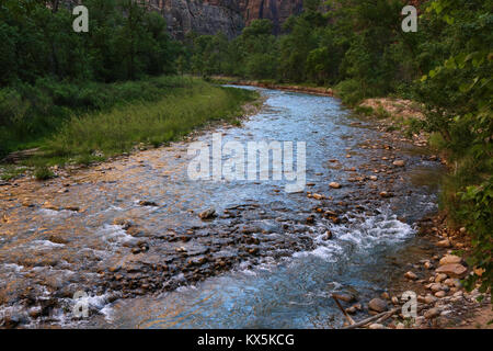 Des Virgin Flusses durch den Wanderweg in Zion Canyon Stockfoto