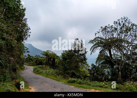 Straße, die zu den Horton Plains, Sri Lanka Stockfoto